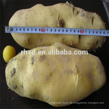 Kartoffelgroßhandelspreis von Chinesen